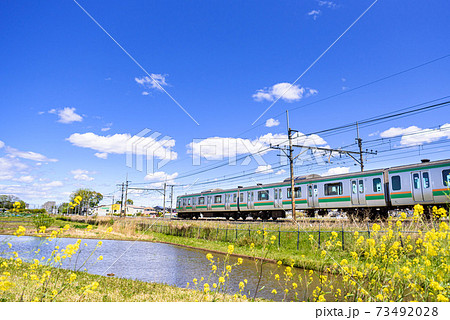 田園地帯と菜の花と鉄道(快晴) 田園地帯と菜の花と鉄道(快晴) 73492028