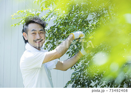 庭木の剪定 73492408