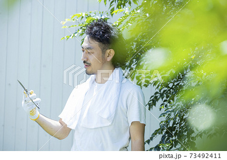 庭木の剪定 73492411