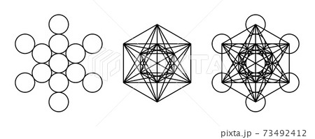 Components of Metatrons Cube. Mystical symbol, derived from the Flower of Life. All thirteen circles are connected with straight lines. Sacred Geometry. Black and white illustration over white. Vector 73492412