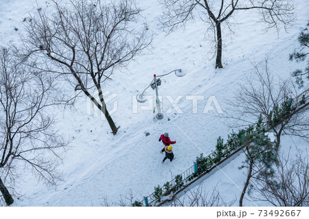 冬 光 雪景色 73492667