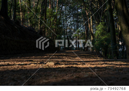 登山道 山道 登山道 山道 73492768