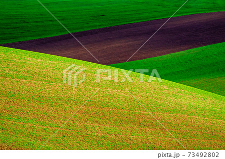 Green grass field background Green grass field background 73492802
