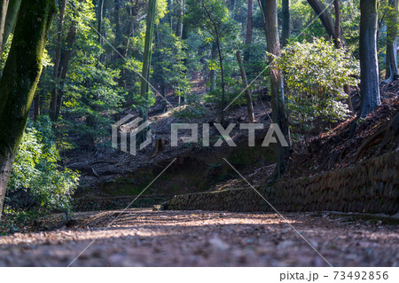 登山道 山道 登山道 山道 73492856