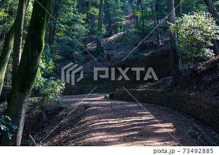 登山道 山道 登山道 山道 73492885