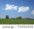 丘の上の白い雲 73492938