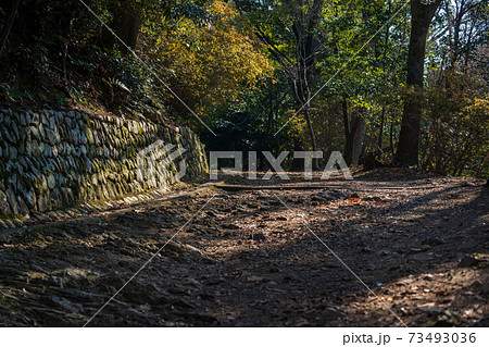 登山道 山道 登山道 山道 73493036