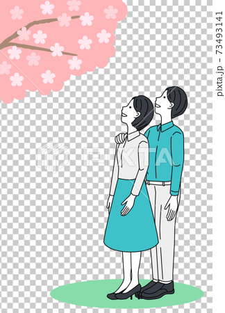 桜 お花見 夫婦 カップル 仲良しのイラスト素材