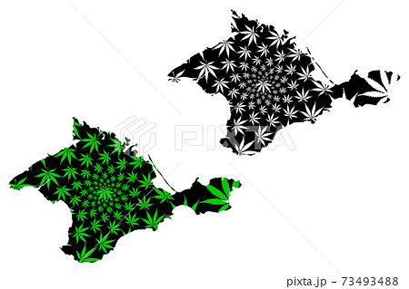 Crimea (Russia, Russian Federation, Republics of Russia, Crimean Peninsula) map is designed cannabis leaf green and black, Republic of Crimea map made of marijuana (marihuana,THC) foliage.. 73493488