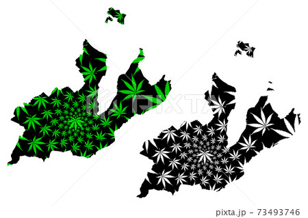 Geneva (Cantons of Switzerland, Swiss cantons, Swiss Confederation) map is designed cannabis leaf green and black, Republic and Canton of Geneva map made of marijuana (marihuana,THC) foliage.... Geneva (Cantons of Switzerland, Swiss cantons, Swiss Confederation) map is designed cannabis leaf green and black, Republic and Canton of Geneva map made of marijuana (marihuana,THC) foliage.... 73493746