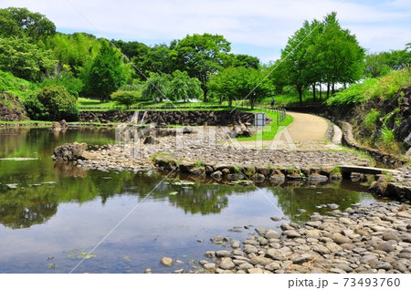神奈川県茅ケ崎市 県立茅ヶ崎里山公園 中ノ谷池と新緑 神奈川県茅ケ崎市 県立茅ヶ崎里山公園 中ノ谷池と新緑 73493760