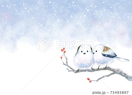 寒中見舞い文字なしテンプレート シマエナガの可愛いイラスト 寒中見舞い文字なしテンプレート シマエナガの可愛いイラスト 73493897