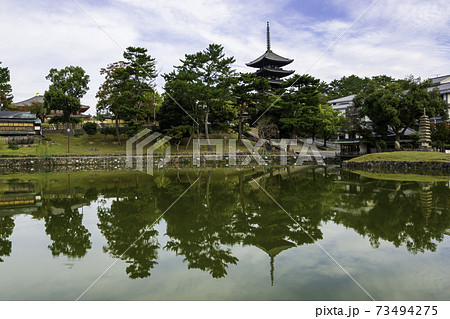 猿沢池　興福寺五重塔　奈良県奈良市 73494275
