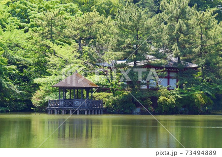 三宝寺池と厳島神社 73494889
