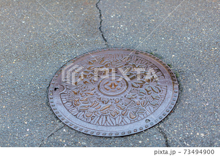 マンホール 73494900