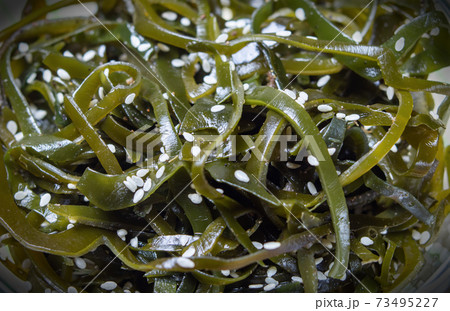 Seaweed salad. Asian cuisine. Laminaria (kelp) sprinkled with sesame seeds, close-up, soft focus. Seaweed salad. Asian cuisine. Laminaria (kelp) sprinkled with sesame seeds, close-up, soft focus. 73495227