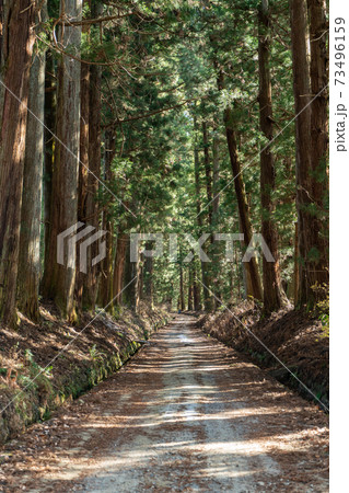 日光杉並木 73496159