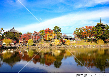 秋の紅葉と興福寺五重塔と猿沢池と青空 73496359