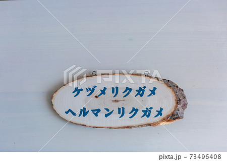 切株アート　札 73496408
