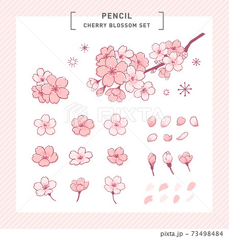 桜 ソメイヨシノの可愛い手書きタッチパーツイラストセットのイラスト素材
