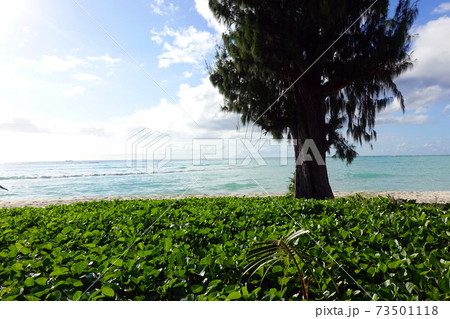 サイパン島　マイクロビーチ 73501118