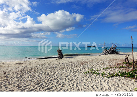 サイパン島　マイクロビーチ 73501119