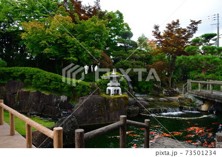 錦鯉の里(新潟県) 錦鯉の里(新潟県) 73501234