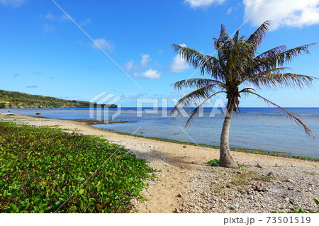 サイパン島 マイクロビーチ南方面 ビーチ沿い サイパン島 マイクロビーチ南方面 ビーチ沿い 73501519