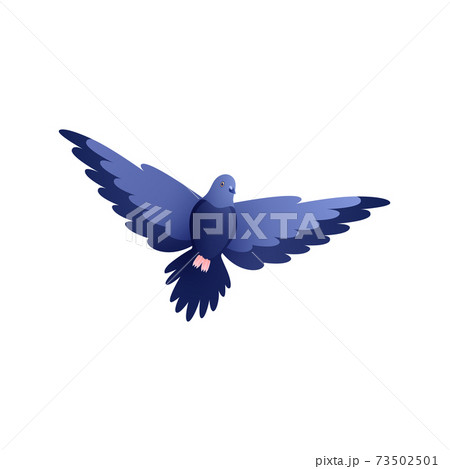Pigeon Flat Illustration 73502501