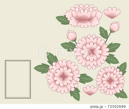 花 牡丹 背景のイラスト素材