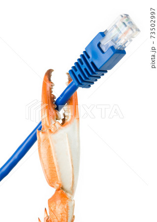 Crab Claw and Network Cable Crab Claw and Network Cable 73502997
