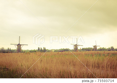 オランダの世界遺産 Mill Network at Kinderdijk-Elshout オランダの世界遺産 Mill Network at Kinderdijk-Elshout 73503714