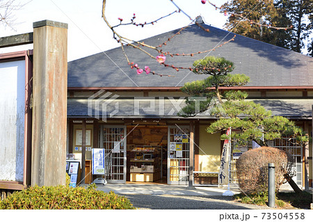 偕楽園の紅梅とみやげ屋 偕楽園の紅梅とみやげ屋 73504558