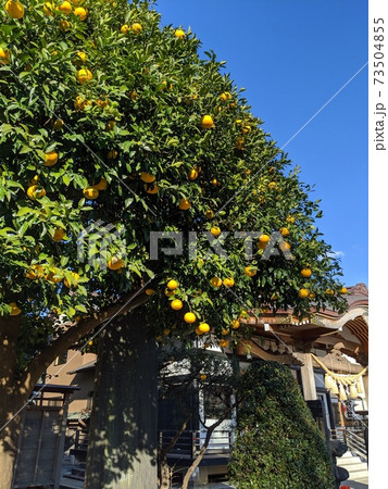 たかお神社 73504855