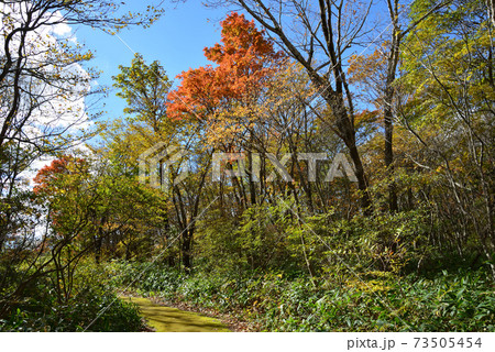 那須平成の森へ行きました  #12 那須平成の森へ行きました  #12 73505454