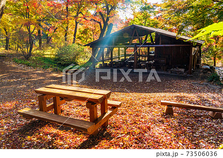 群馬県 赤城自然園 四季の森 紅葉の写真素材 群馬県 赤城自然園 四季の森 紅葉の写真素材