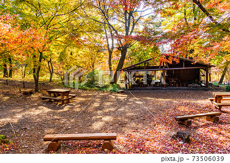群馬県 赤城自然園 四季の森 紅葉の写真素材