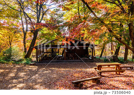 群馬県 赤城自然園 四季の森 紅葉の写真素材