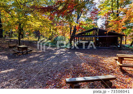 群馬県 赤城自然園 四季の森 紅葉の写真素材