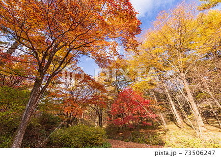（群馬県）赤城自然園・セゾンガーデン　紅葉 73506247