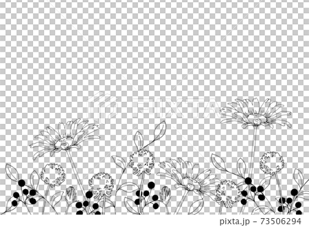 花の線画　手描きイラスト 73506294