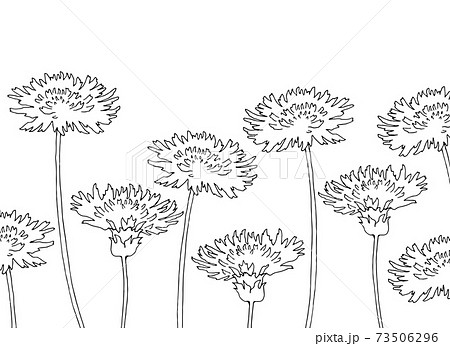 タンポポの花の線画イラストのイラスト素材