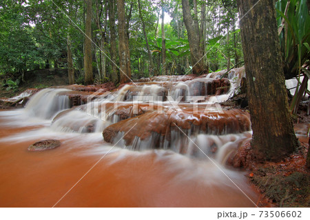 beautiful waterfall in green forest beautiful waterfall in green forest 73506602