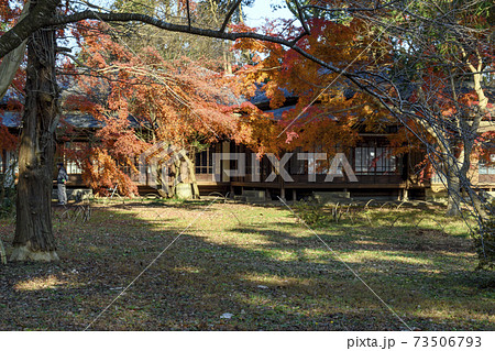 旧岩崎家末廣別邸の紅葉 旧岩崎家末廣別邸の紅葉 73506793