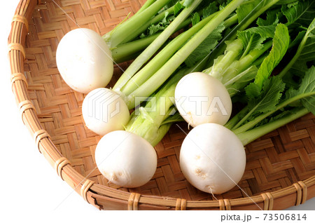 かぶ かぶ 73506814