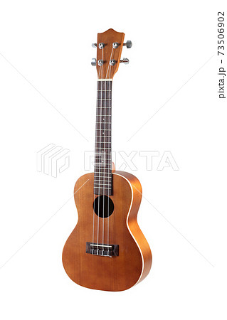 brown ukulele isolated on the white background brown ukulele isolated on the white background 73506902