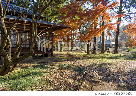 旧岩崎家末廣別邸の紅葉 旧岩崎家末廣別邸の紅葉 73507636