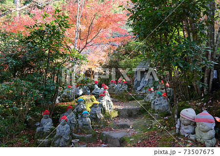 宮島弥山大本山大聖院の紅葉した五百羅漢庭園 73507675