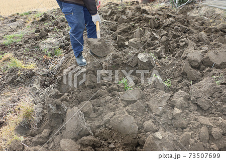 冬の間の土作りの写真素材