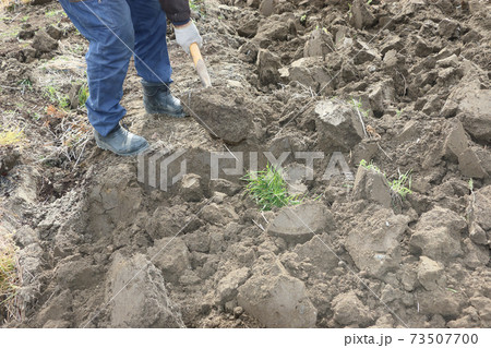 冬の間の土作りの写真素材